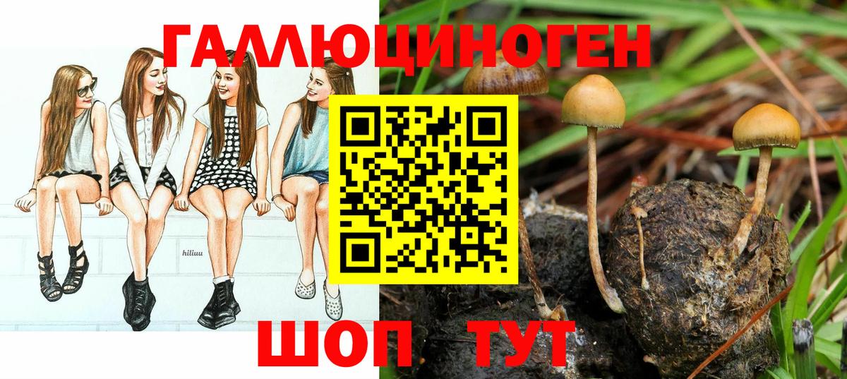 даркнет сайт  Вход с VPN  Саранск  Галлюциногенные грибы Psilocybine cubensis 